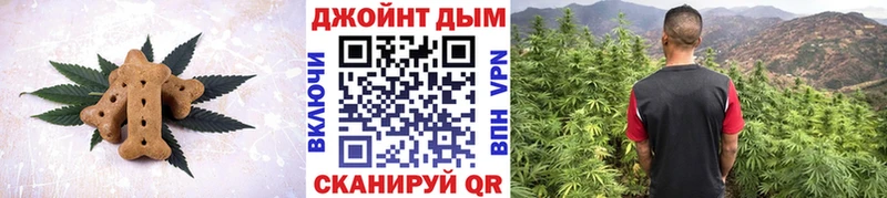 OMG ONION  Боровичи  Canna-Cookies конопля 