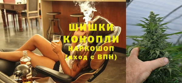 шишки Богородск