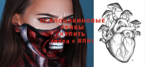шишки Богородск