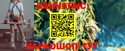 МДПВ Камышлов