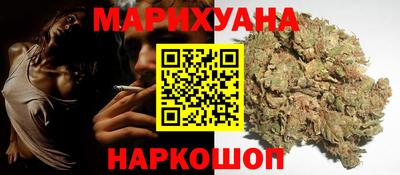 МДПВ Камышлов