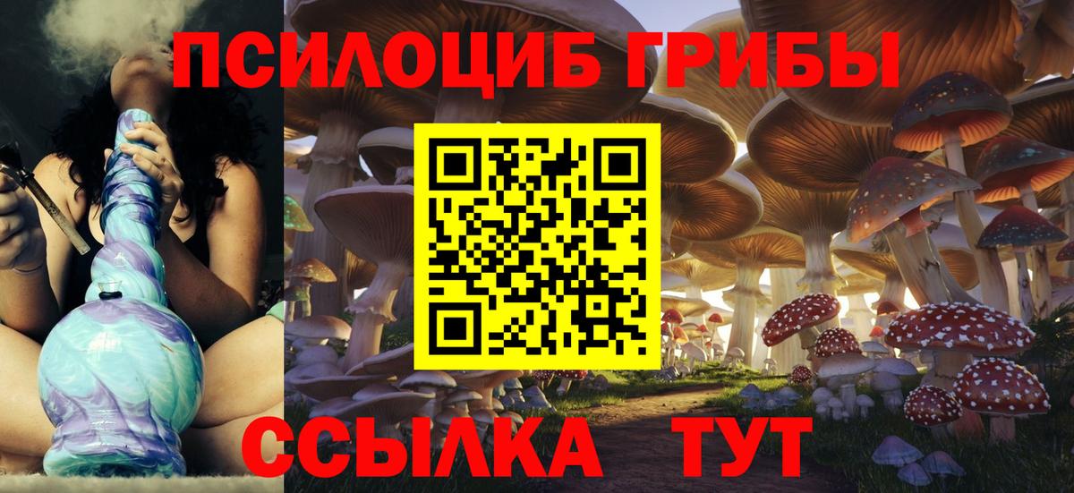 Боровичи  Галлюциногенные грибы MAGIC MUSHROOMS  Вход с VPN 