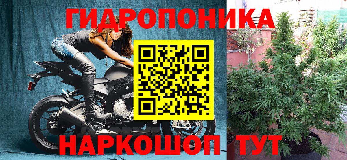 Бошки Шишки OG Kush  Вход с VPN  Боровичи  Бошки марихуана Amnesia  Шишки марихуана OG Kush 
